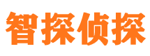 东营侦探公司